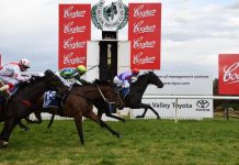 Cup joy at last for Clarken