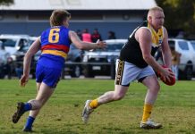 Owls carrying momentum