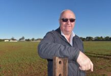 Housing development planned for Balaklava