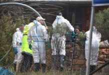 Remains found near Orroroo