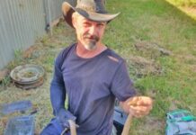 Snake season snapshot