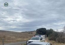 Backseat driver reported