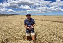 Tasmania’s game-changing irrigation scheme