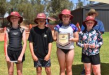 Preston swims to win carnival again