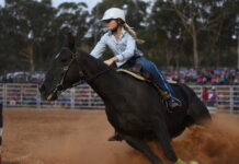 Honours and thrills at Clare Rodeo