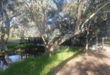 Plenty to do in Booleroo