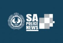 Man charged after officer hit by car