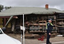 Cattle truck driver fined