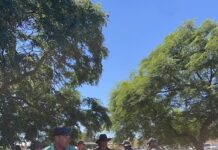 Ewe beaut March market at Jamestown