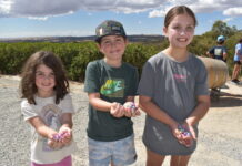 Valley provides sweet time for Easter