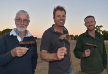 Getting to meat of matter