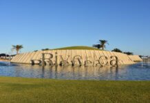 Arrest following Riverlea Park incident