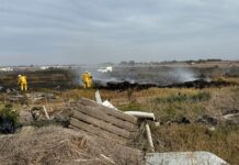 CFS fights Two Wells grass fire