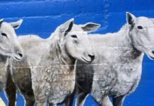 Subway mural to reinvigorate Gladstone landmark