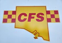 CFS inquiry accepting submissions