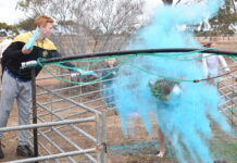 Colourful magic captured at Long Plains
