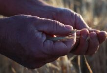 Grain growers plea for rural road funding