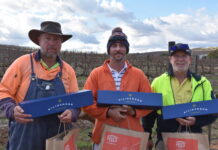 Clare Valley claims pruning championship
