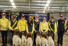 Burra pulls the wool on