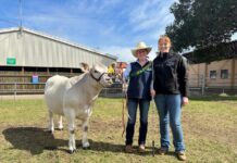 Clare students steered back to show