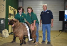 Livestock future on the Horizon