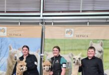Horizon alpacas impress at Show