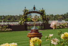 Clare Cups runneth over!