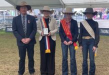 Eckermann excels, returning to national stage