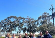 Rugose response requested