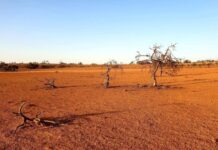 Drought Hubs under review
