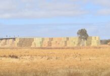 Hay wait for rain impact