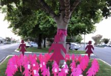 United as Friends in Pink