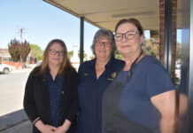 Blue Tree to be planted on Plains