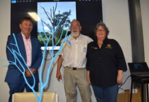 Blue Tree Project taking root