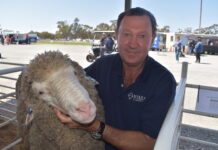 Woolly time for livestock