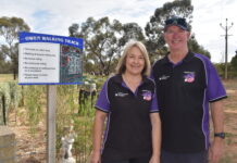 Owen walk supports brain cancer cause