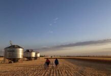 Strategies to prepare for a dry summer