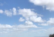 Spring Gully: A wonder of nature