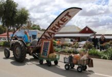 Wirrabara market seeking new faces