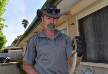 Warning as snakes get active