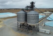T Ports push back on Viterra acquisition