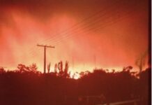 Ash Wednesday a reminder to remain vigilant