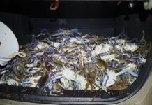 Fisheries operation pinches illegal fishers