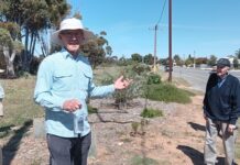 Take a tip from Ian Roberts