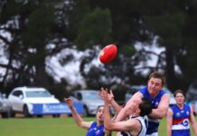 Cats bounce back beating BBH
