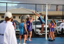 Four quarter effort sets up Cats win