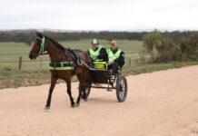 Owen hosts carriage driving series
