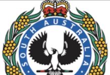 Drink driver caught at Balaklava