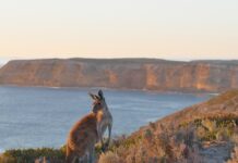 Nature tourism grants now open