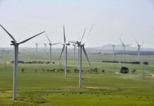 Feedback open for Whyte Yarcowie wind farm